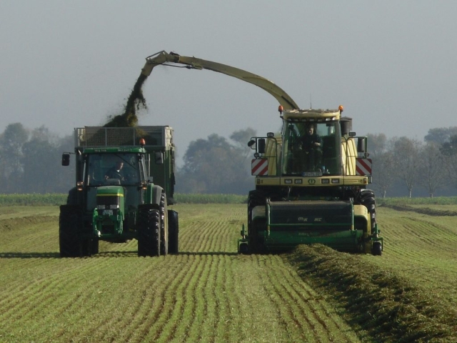 grass silage harvest