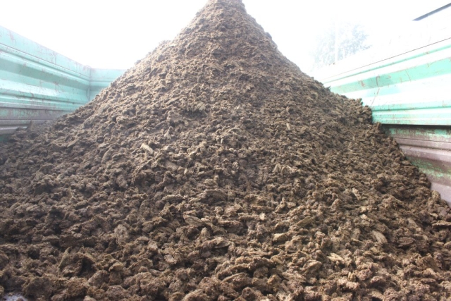 digestate