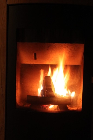 logwood stove fire