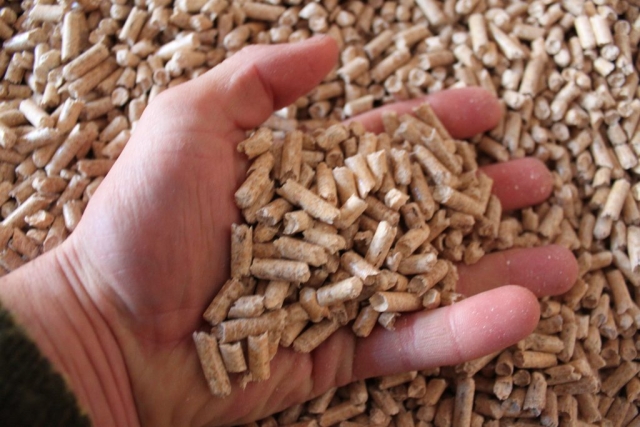 pellets in a hand