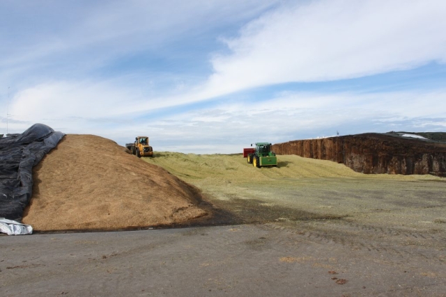 silage compaction for biogas