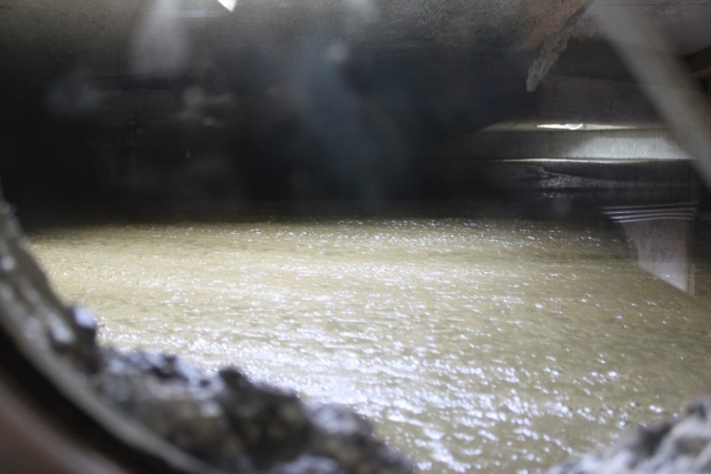 view in a digester