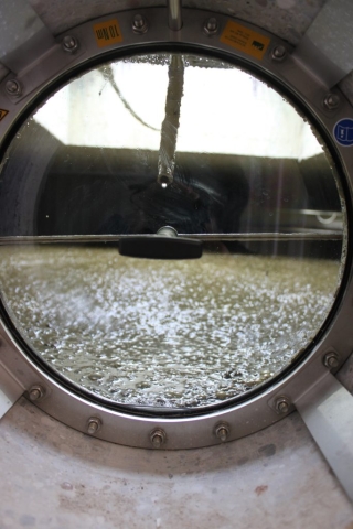 view in a digester 2