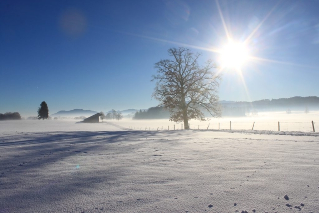 winter landscape