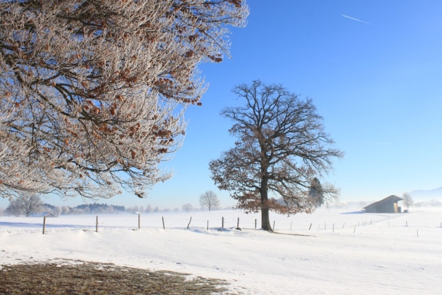 winter landscape 2