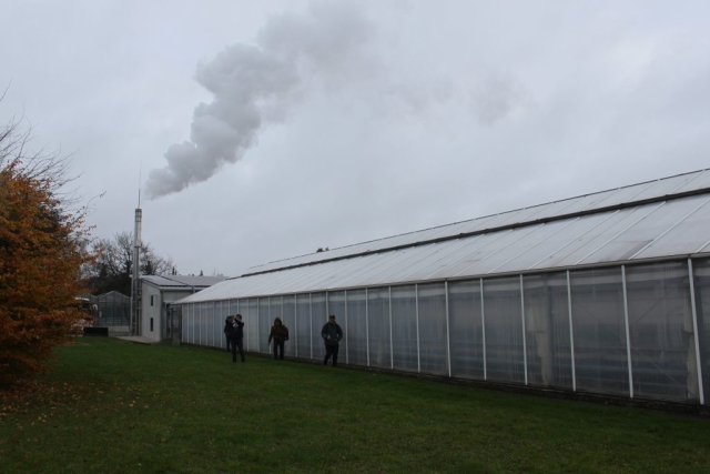 woodchip heated greenhouse